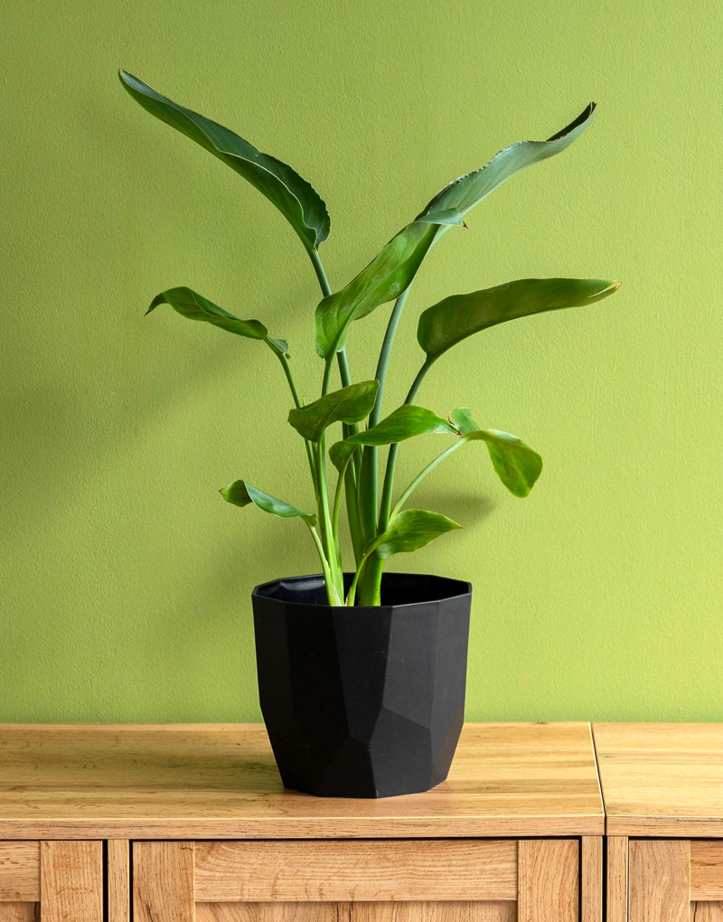 About Sri Anganaya Engineering